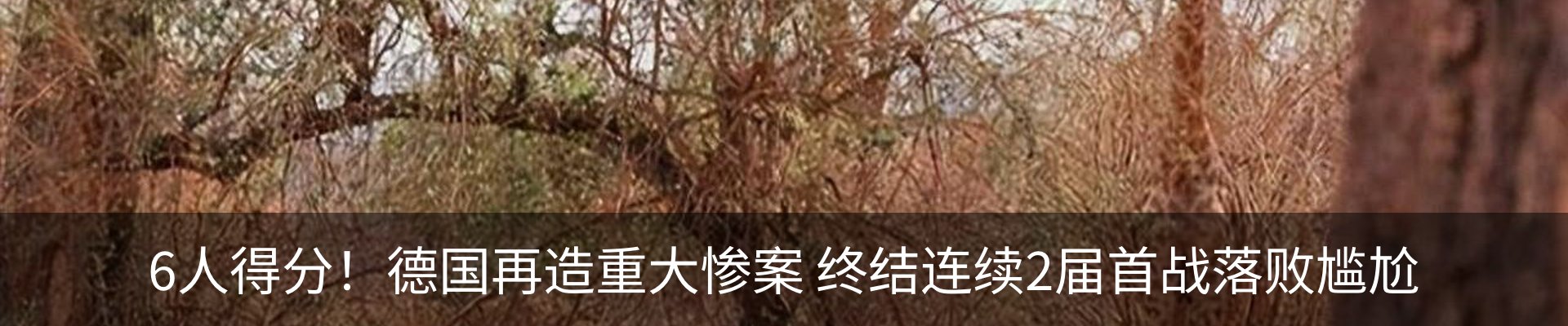 新闻动态